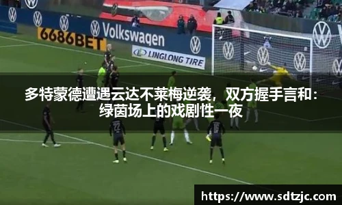 bsports官网入口