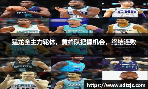猛龙全主力轮休，黄蜂队把握机会，终结连败