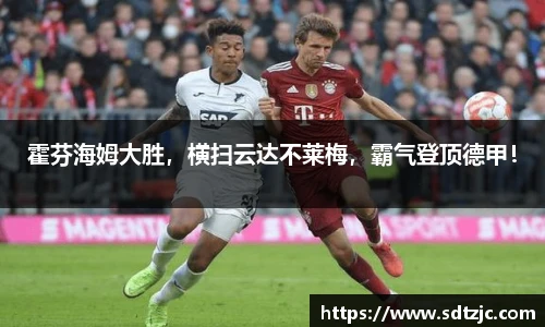 霍芬海姆大胜，横扫云达不莱梅，霸气登顶德甲！