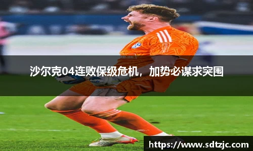 bsports官网入口