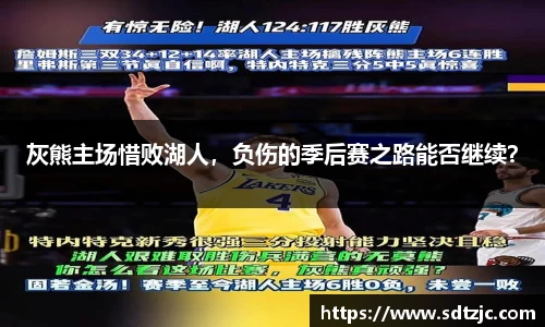 B体育bsports