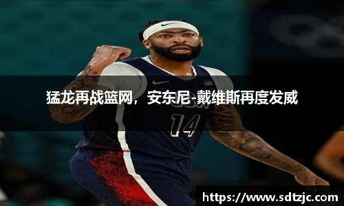 猛龙再战篮网，安东尼-戴维斯再度发威