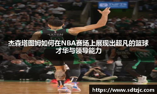 bsports官网入口
