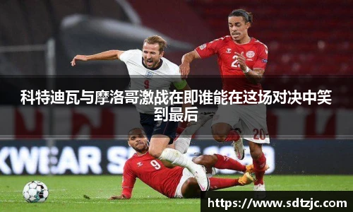 bsports官网入口