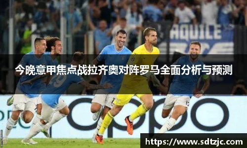 bsports官网入口