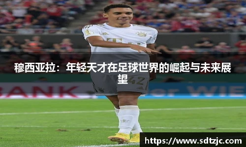 B体育官网