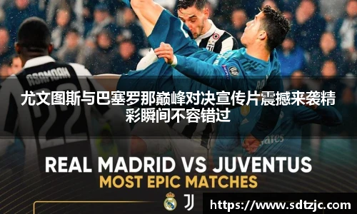 bsports官网入口