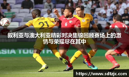 bsports官网入口